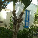 Mediterranea