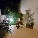 Mediterranea *