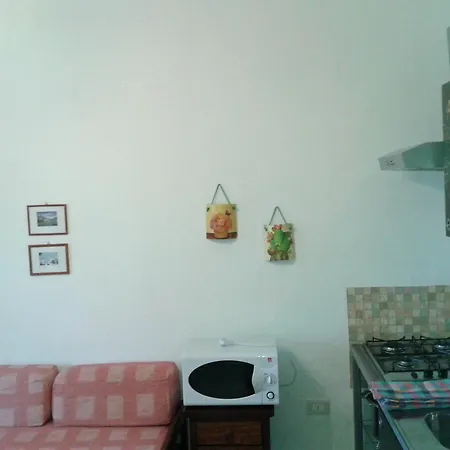 Mediterranea