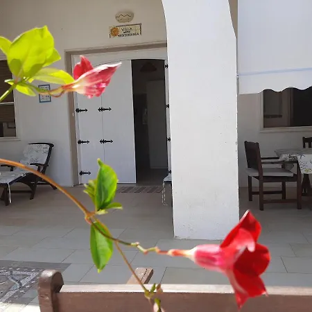 Apartment Mediterranea *