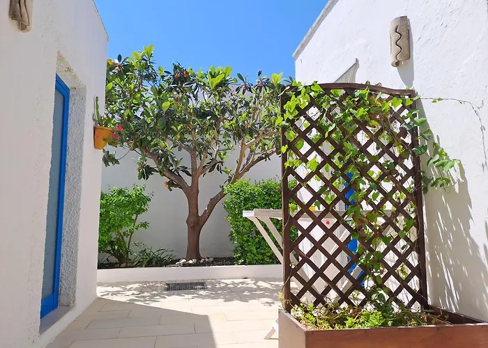 Mediterranea 托里德欧索